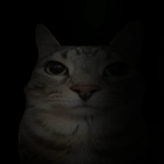 ˑ 𓈒 𐔌 ડ𝕥ꪖꪶ𝕜ꫀ𝕣 🪓ˑ꒱ ۫