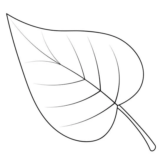 a sheet thumbnail
