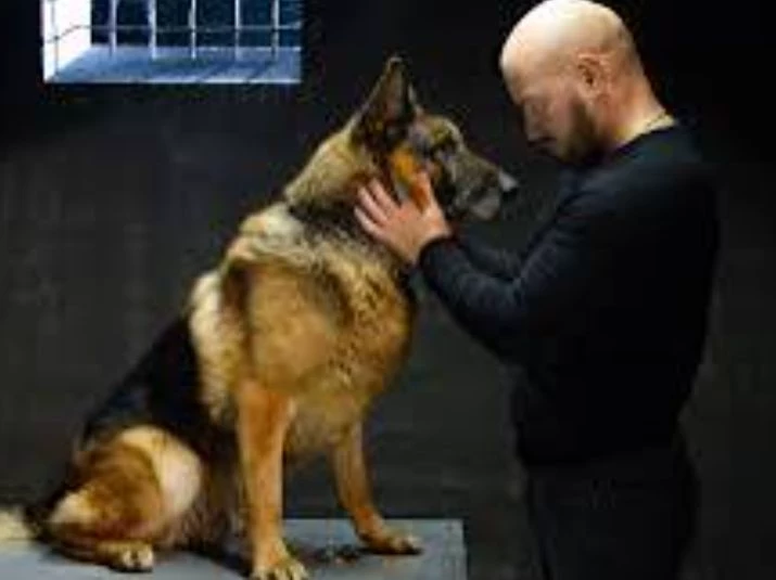 Cinema "dog" / Maxim/ Dog thumbnail