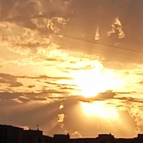 🐦‍🔥Даша 🐦‍🔥