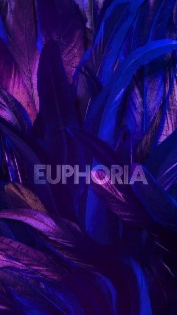 Euphoria  thumbnail