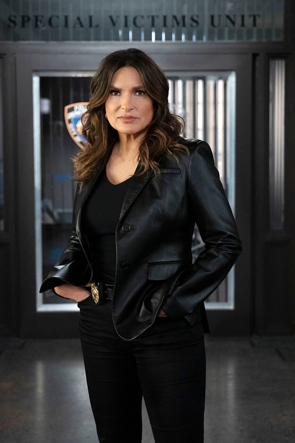 Olivia Benson - Interrupted Promise thumbnail