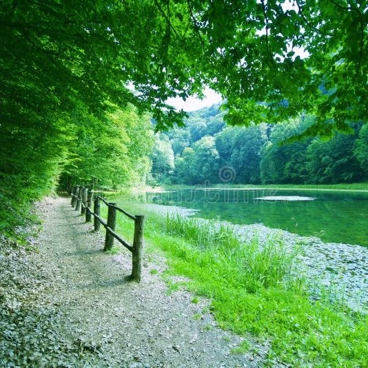path. thumbnail