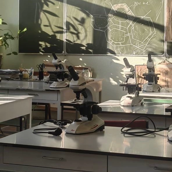 \|\| Lab RP \|\| thumbnail