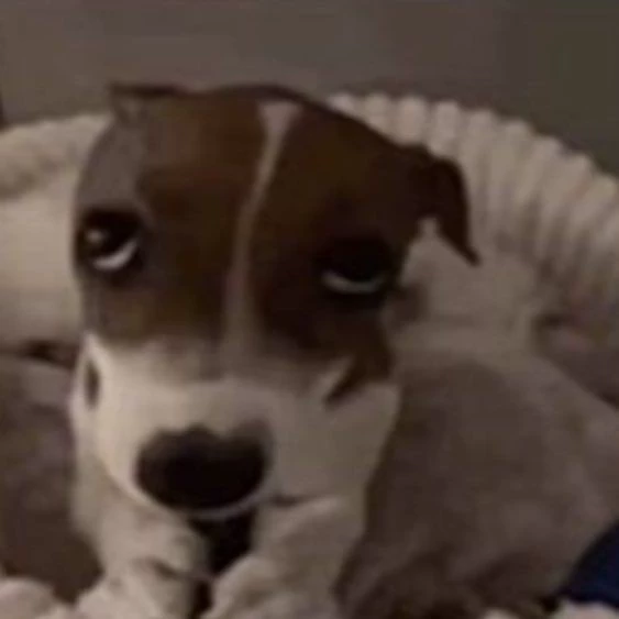 Dan