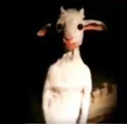The goat on the swing thumbnail