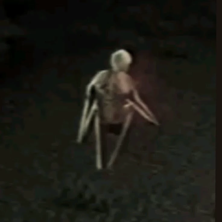 Verity thumbnail