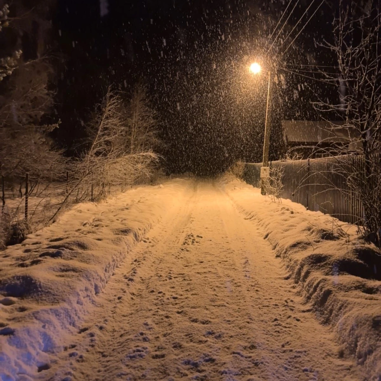 Santa's village thumbnail