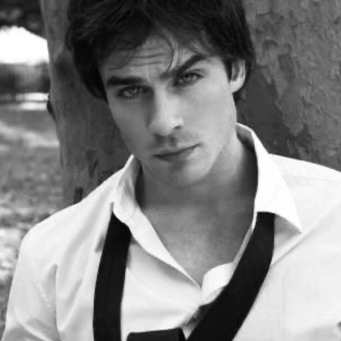 Damon salvatore thumbnail