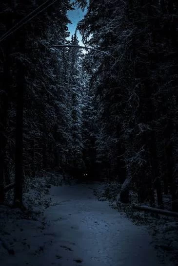 The dark forest thumbnail