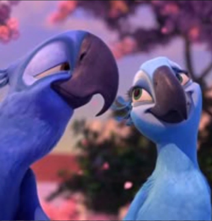 Alternative Rio 2 thumbnail