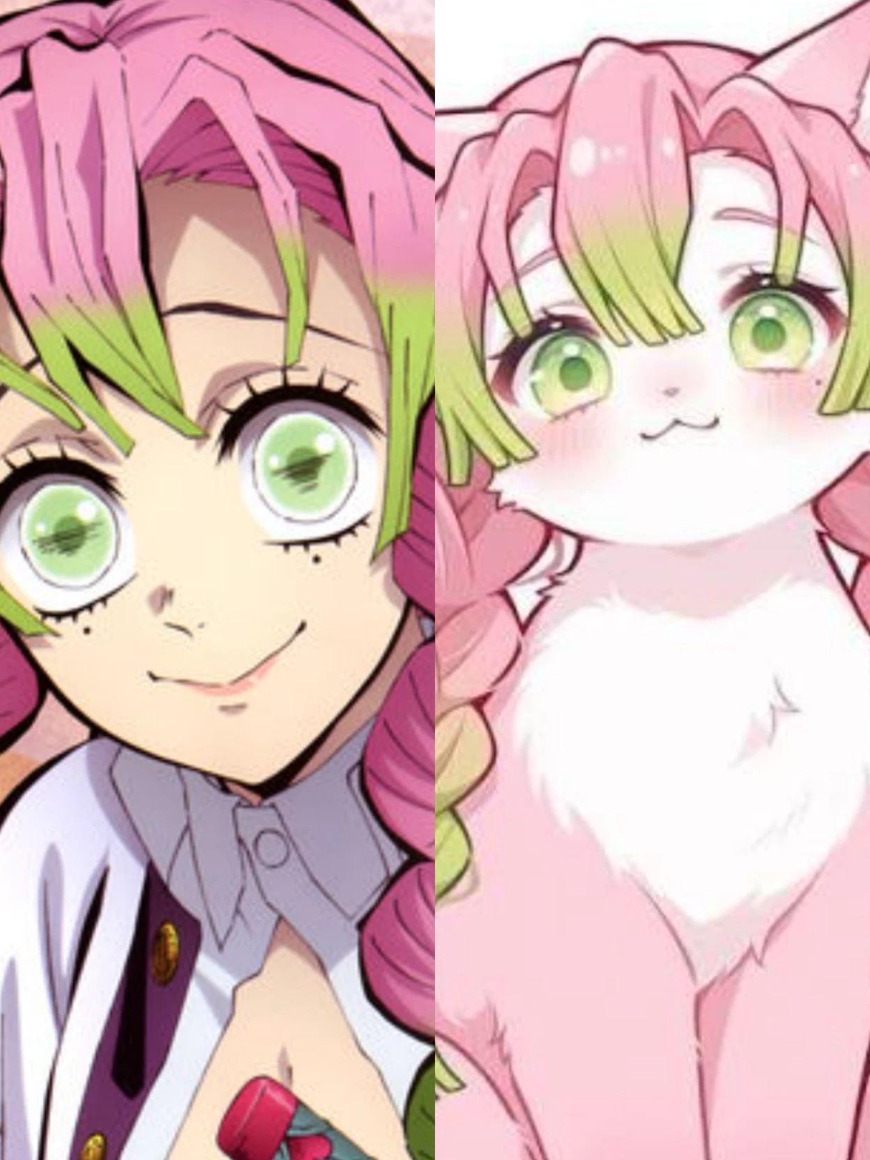Mitsuri Kanroji gatita thumbnail