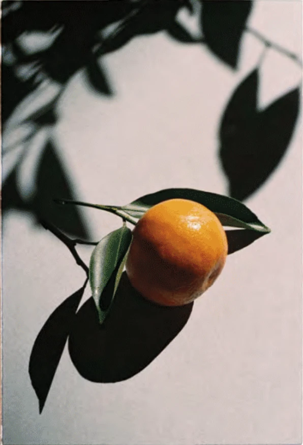 tangerine🍊 thumbnail