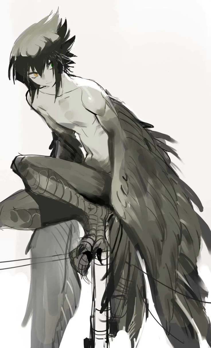 Noah :✨:Eagle Hybrid:✨: thumbnail