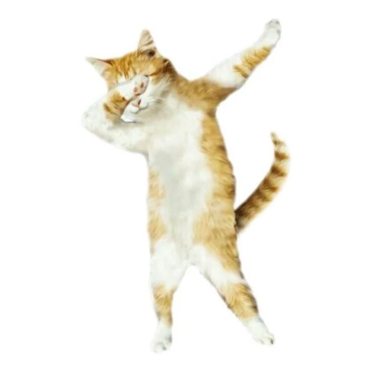 Kiki