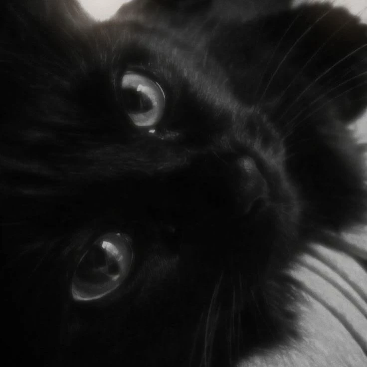 Katherine 