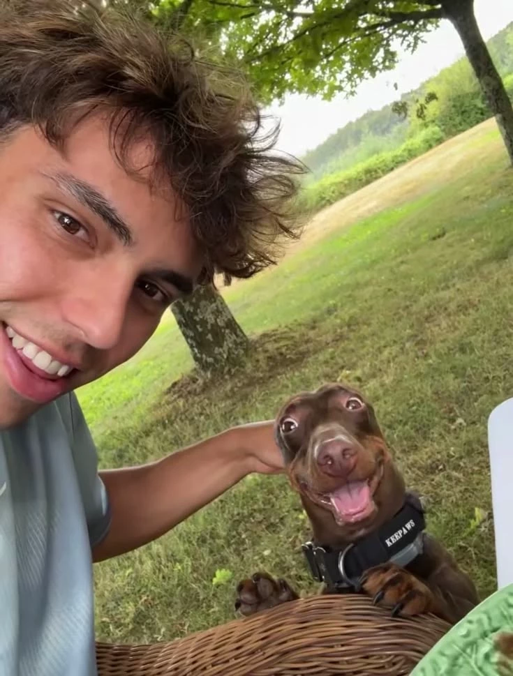 João Felix thumbnail