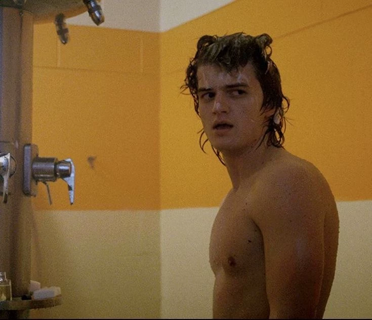 Steve Harrington thumbnail