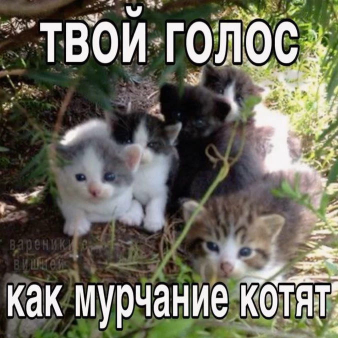 Харико