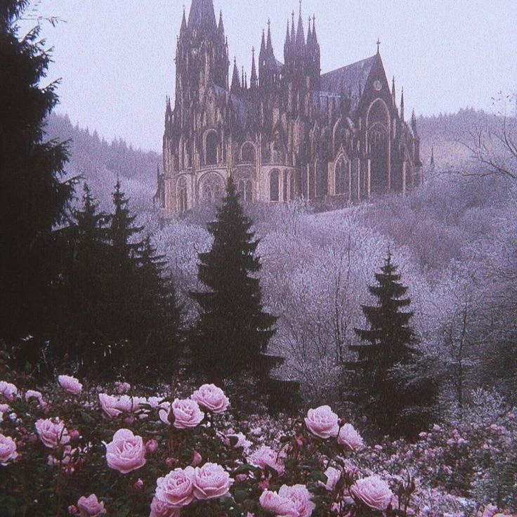 The Kingdom of Your Flower thumbnail
