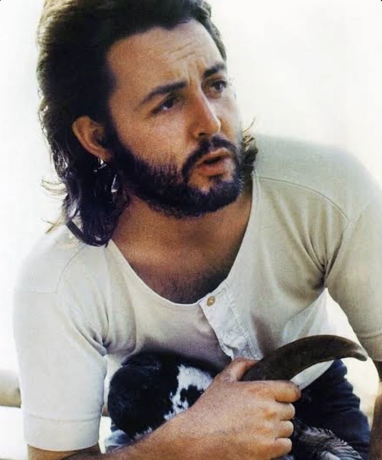 Paul McCartney - 1971 thumbnail