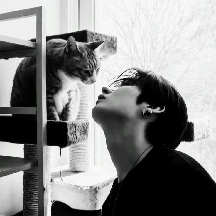 Lee Minho thumbnail