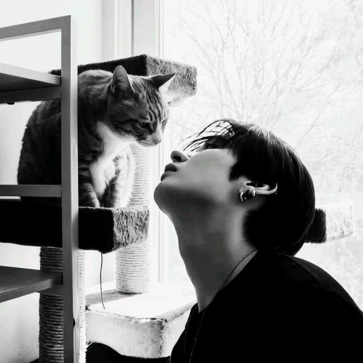 Lee Minho thumbnail