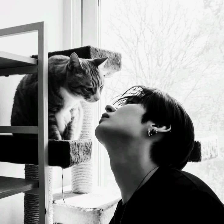 Lee Minho thumbnail