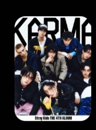 stray kids. thumbnail
