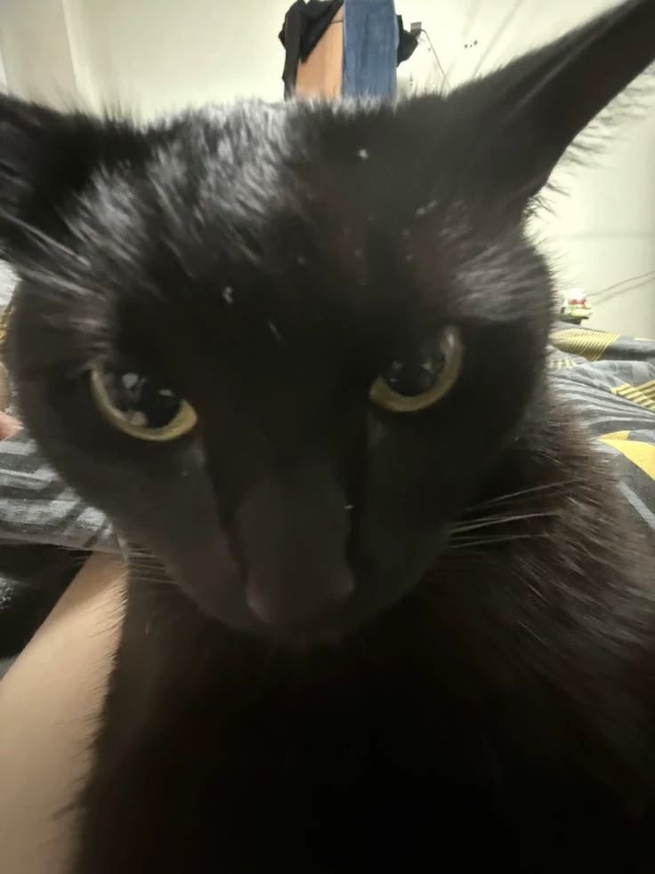 Secret Agent thumbnail