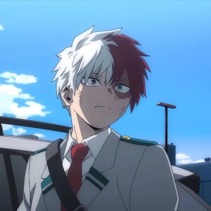 Shot Todoroki thumbnail