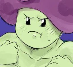 Humoseta thumbnail