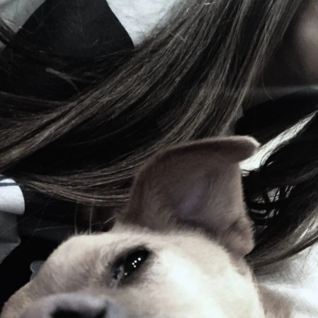 Teddy ♡