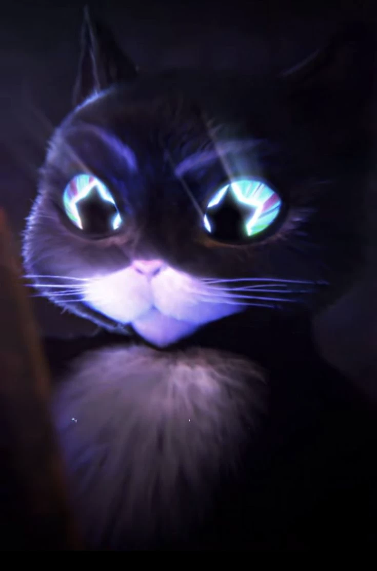 I hate humans. thumbnail