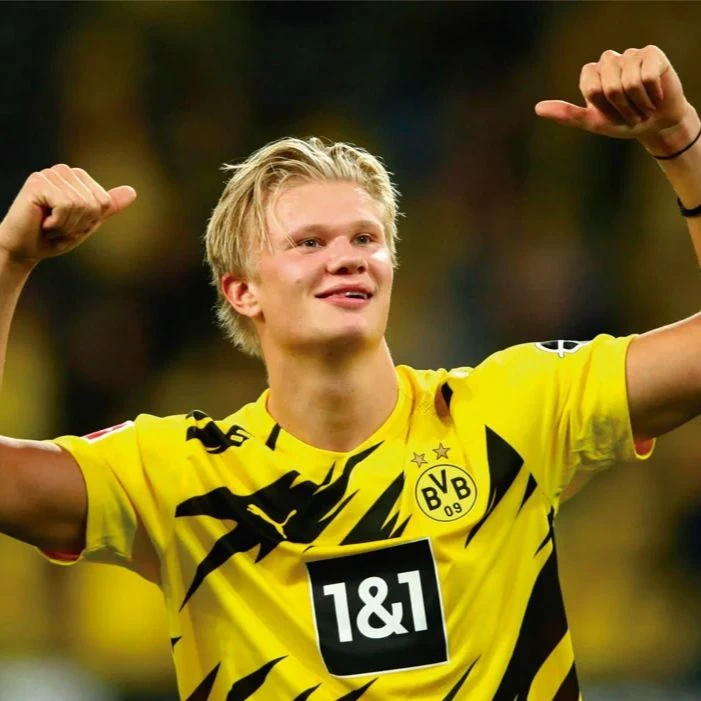 Erling Haaland. thumbnail
