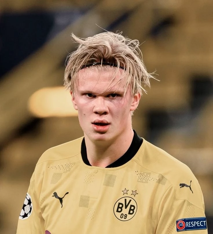 Erling Haland thumbnail