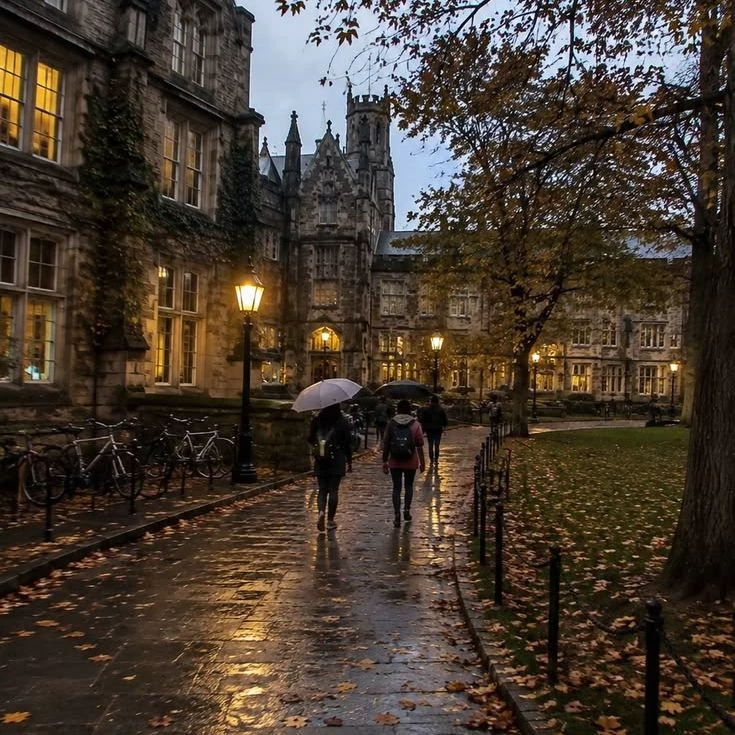 university thumbnail