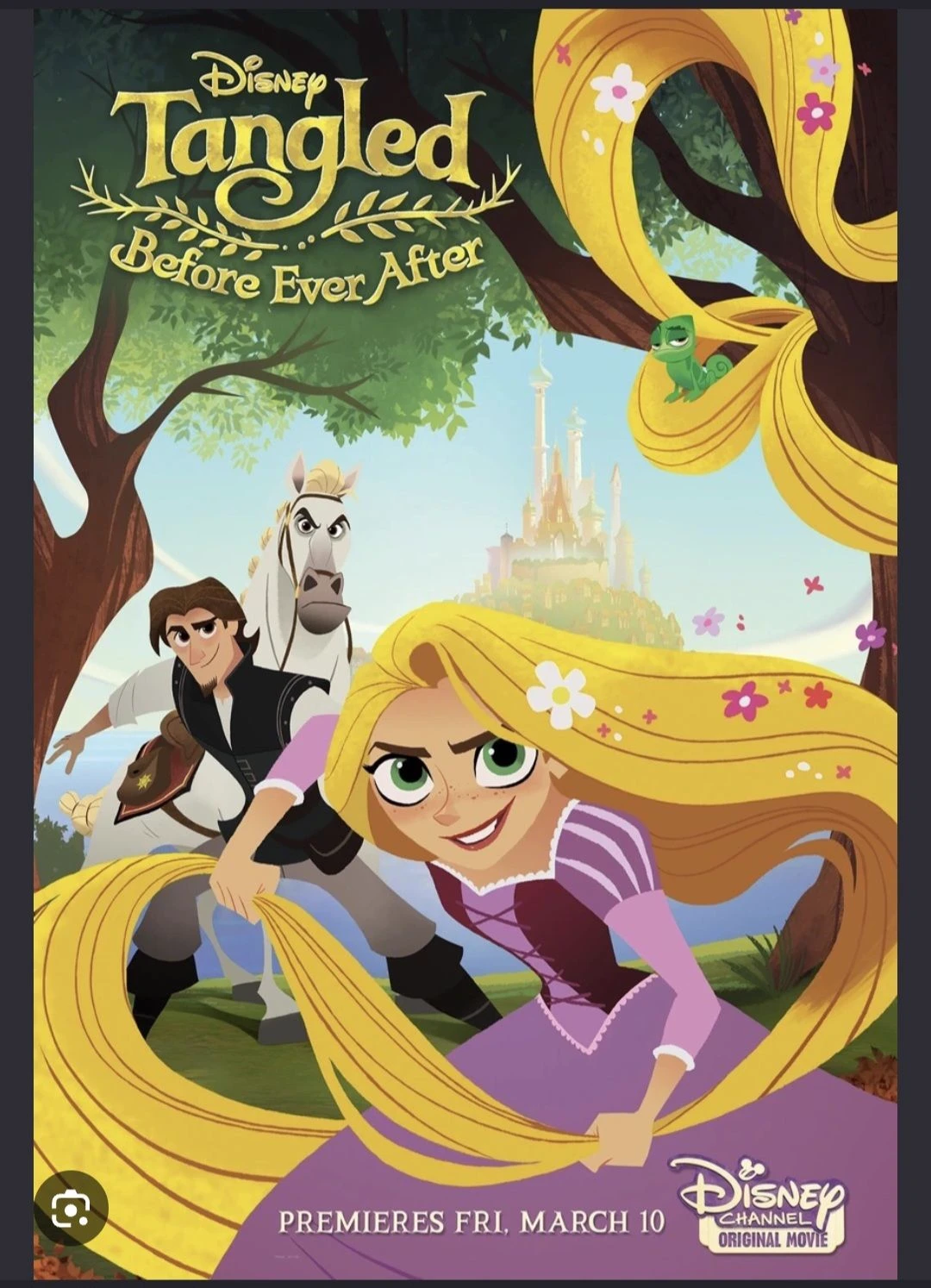 The Tangled Adventures of Rapunzel thumbnail