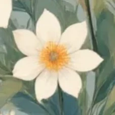 💮🌸Little Flower🌸💮