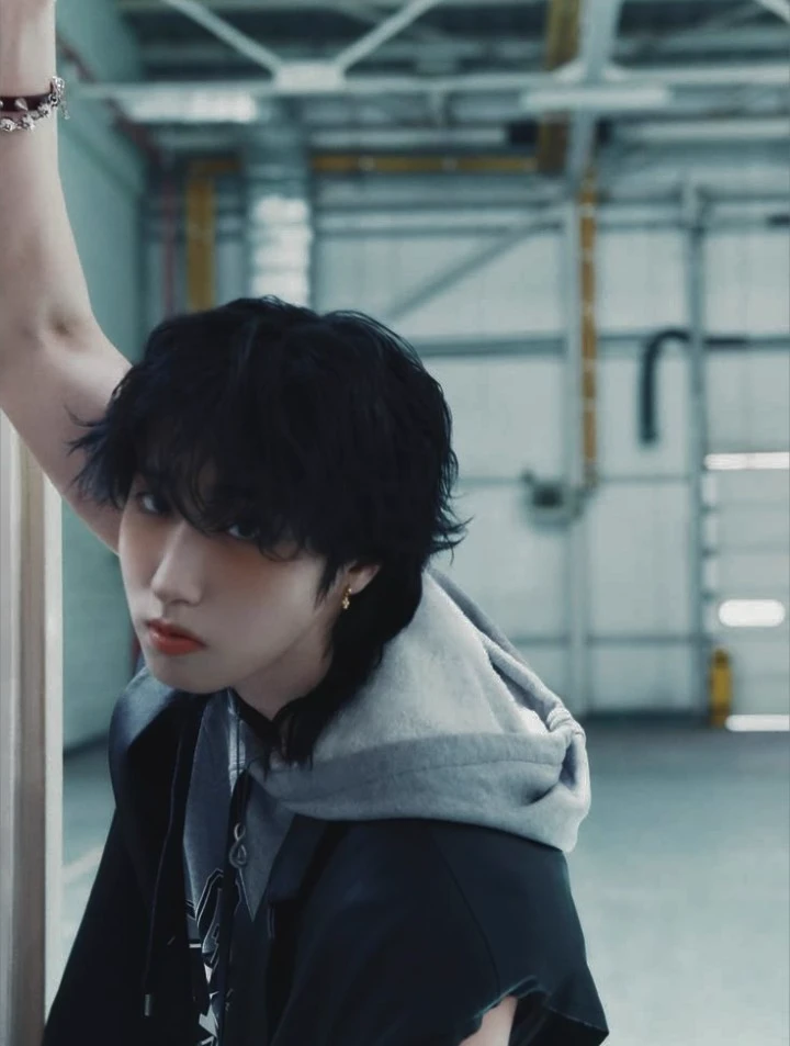 Han Jisung  thumbnail