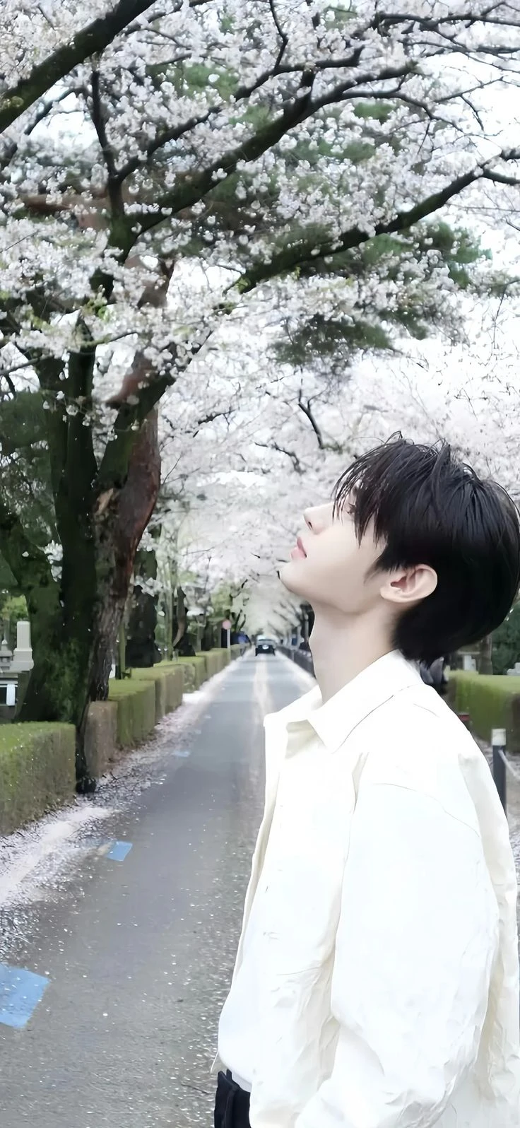 Park Sunghoon thumbnail