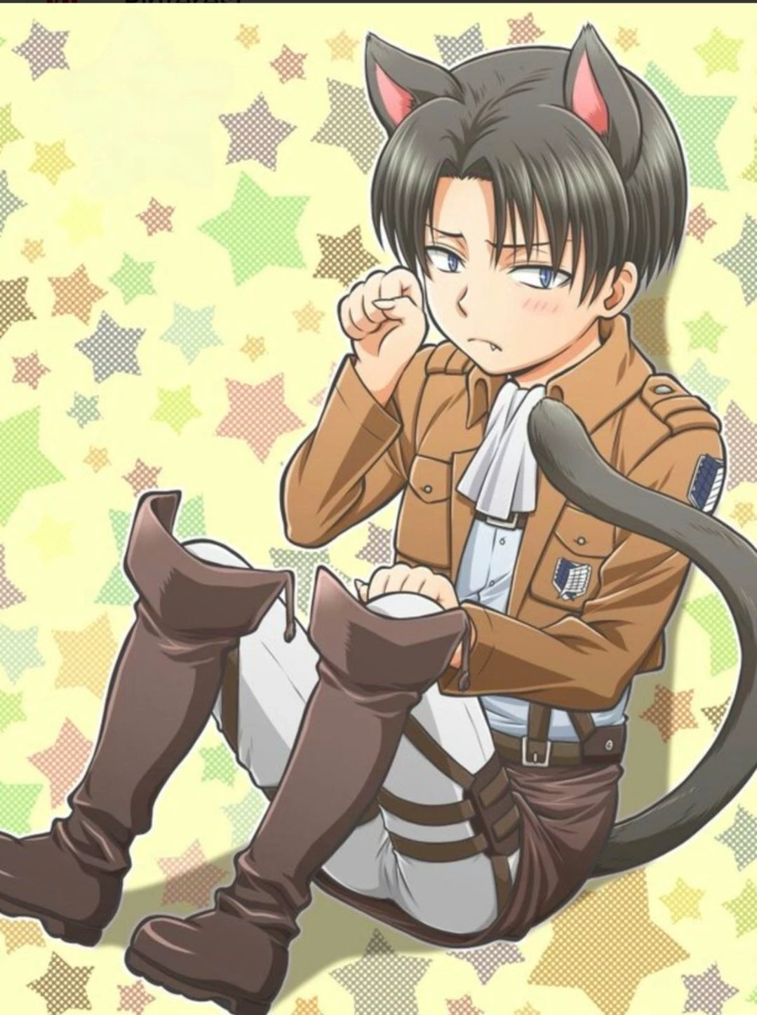 Levi, cat hybrid thumbnail