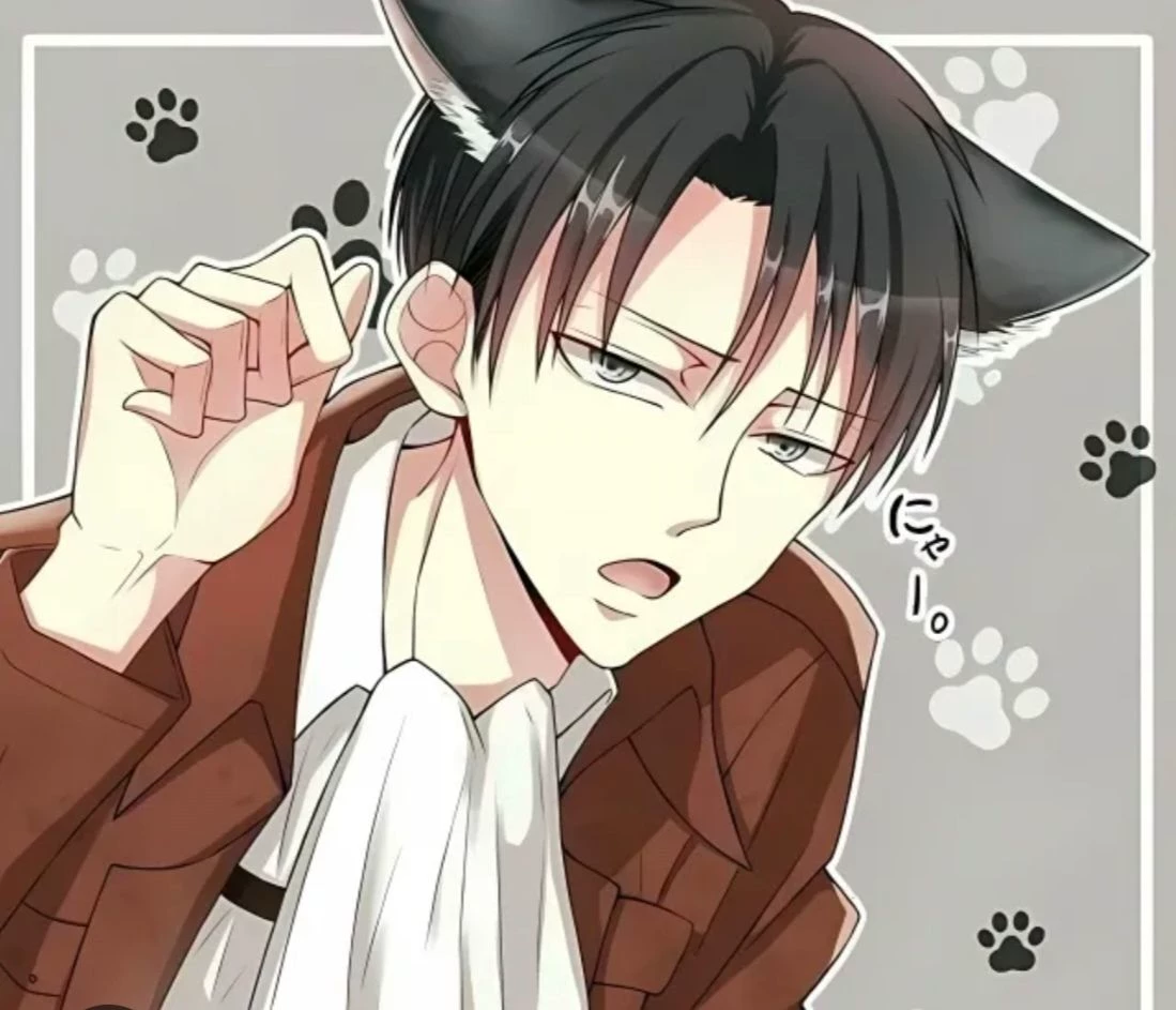 Levi chibi cat thumbnail