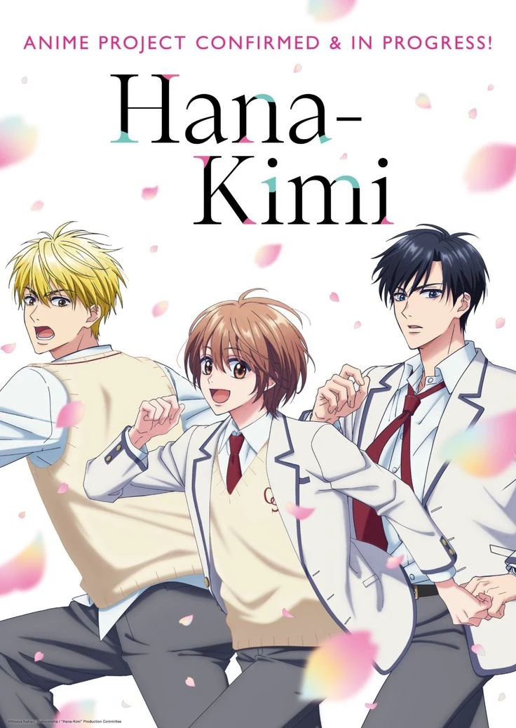 Hans kimi thumbnail