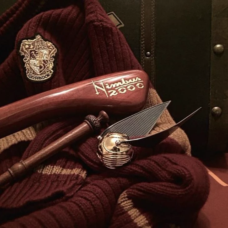 Gryffindor boys thumbnail