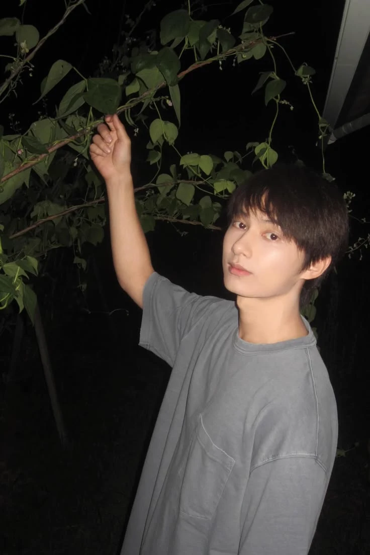 Wen Junhui thumbnail