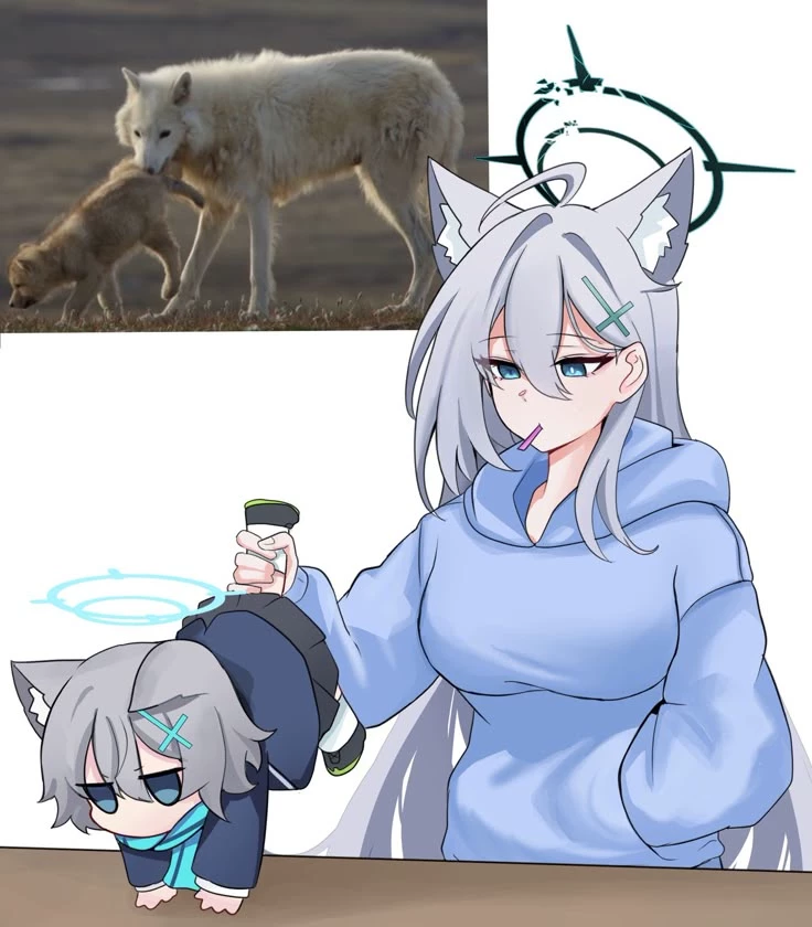 Shiroko Terror thumbnail