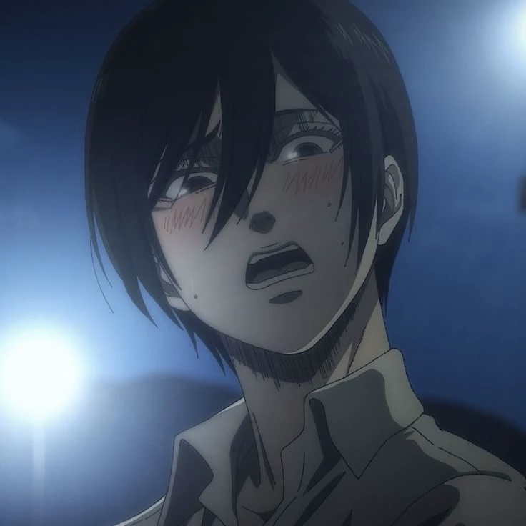 Mikasa thumbnail