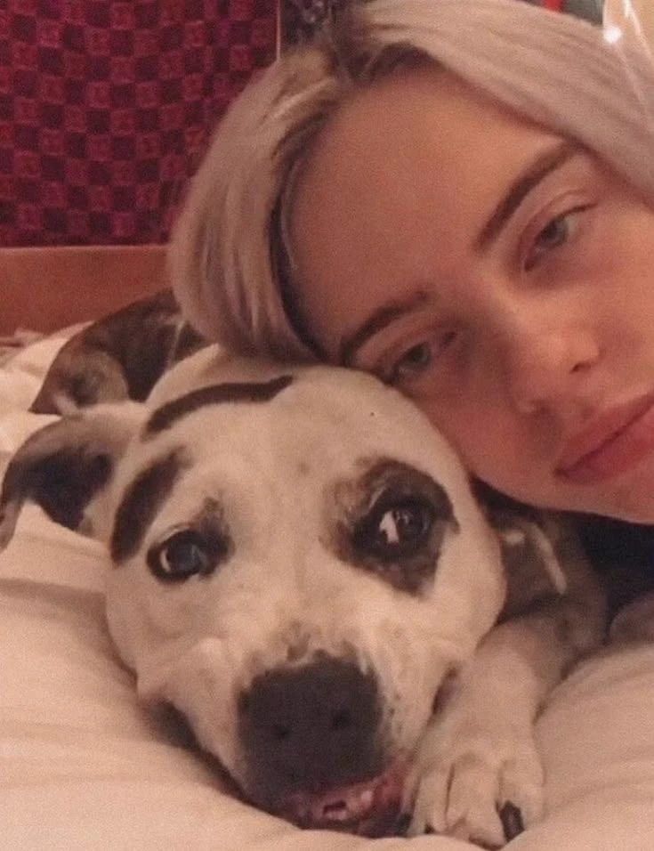 Billie thumbnail