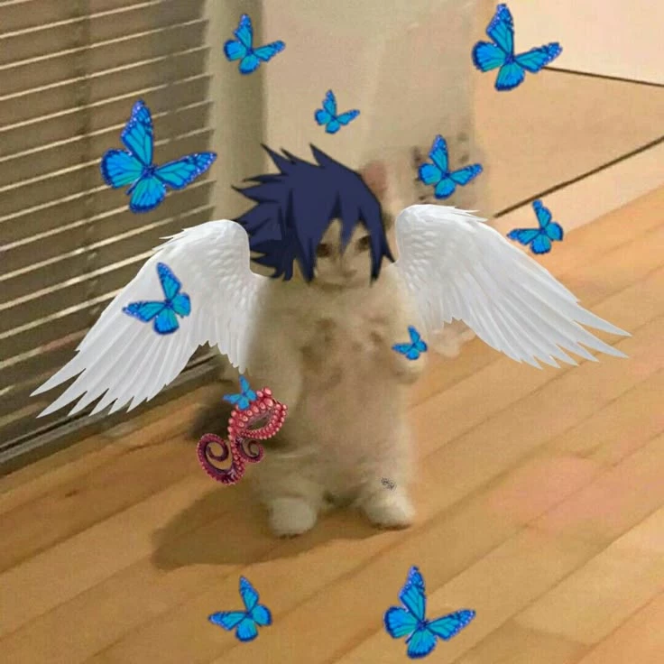 Tamaki Amajiki thumbnail
